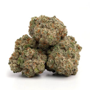 Jack Herer Weed